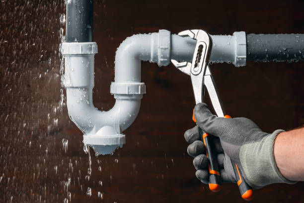 Professional Plumbing technician working in North, VA